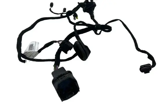 Rear door wiring loom