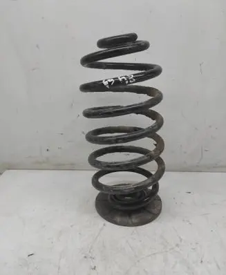Rear coil spring
