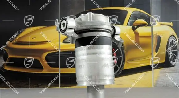 Porsche Cayenne (92A) Front shock absorber/damper 95835850315