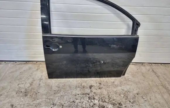 Volkswagen New Beetle Front door