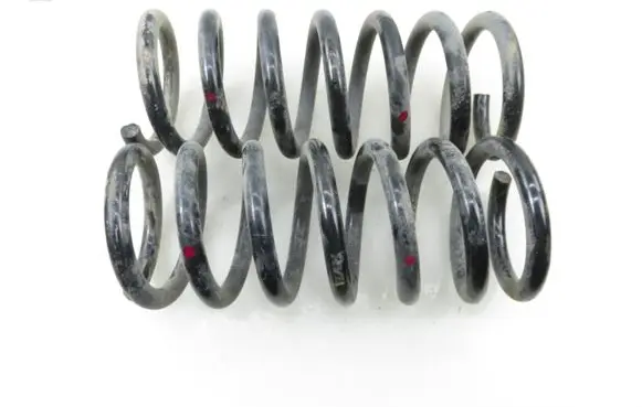 Opel Antara Rear coil spring RA6383