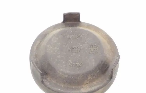 Volkswagen PASSAT B5 Headlight/headlamp dust cover 147969