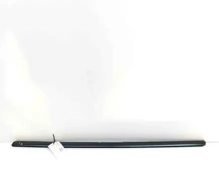 Tesla Model Y Front door glass trim molding 149571000D