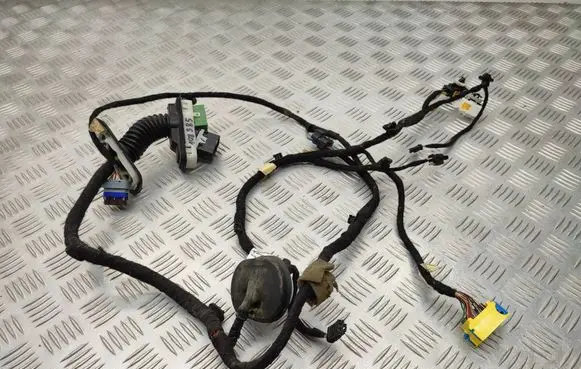 Peugeot 3008 II Front door wiring loom 9818874980