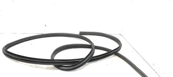 Mitsubishi Space Star Front door rubber seal 