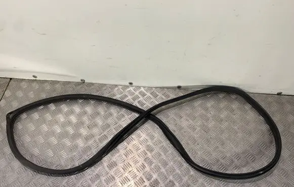 Hyundai Ioniq Rubber seal rear door 
