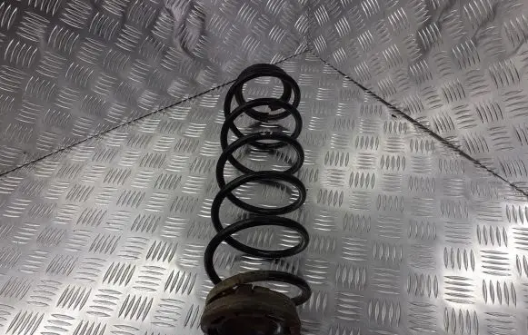 Renault Laguna II Rear coil spring
