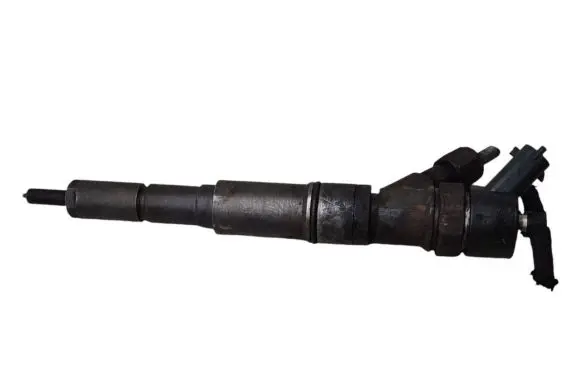 Renault Kangoo II Fuel injector 7789573 0445110130