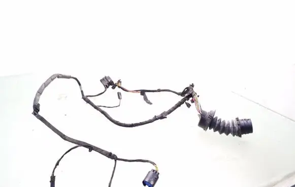 Front door wiring loom