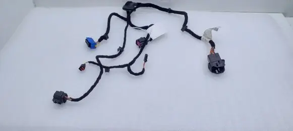 Rear door wiring loom