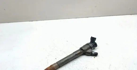 Renault Espace V (RFC) Fuel injector 0445110569 1113306275811