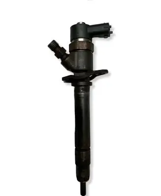 Volvo V70 Fuel injector 865835