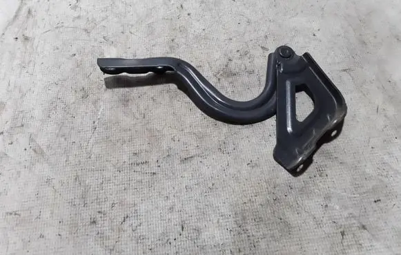 Hyundai Ioniq Engine bonnet/hood hinges 79120-G2000