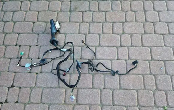 Opel Insignia B Front door wiring loom 39133655