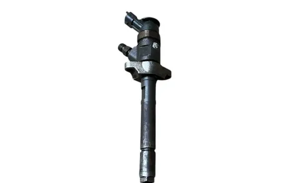 Citroen C5 Fuel injector 0445110297