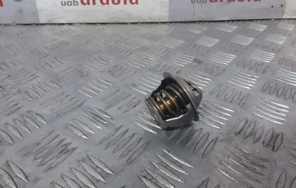 Opel Vectra C Thermostat/thermostat housing