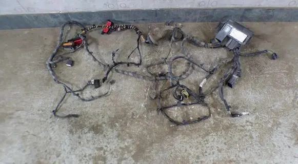 Ford Fiesta Wiring harness CARTE1BT14K012 E1BT14K012 12918980000