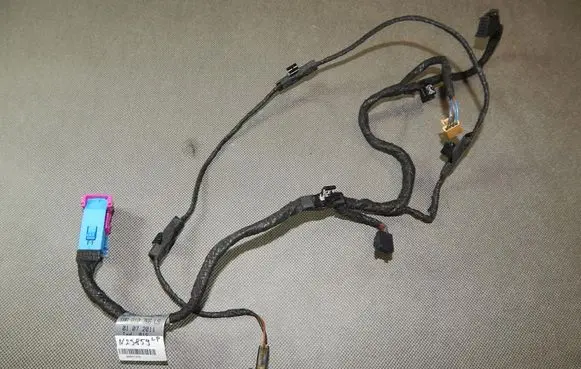 Front door wiring loom