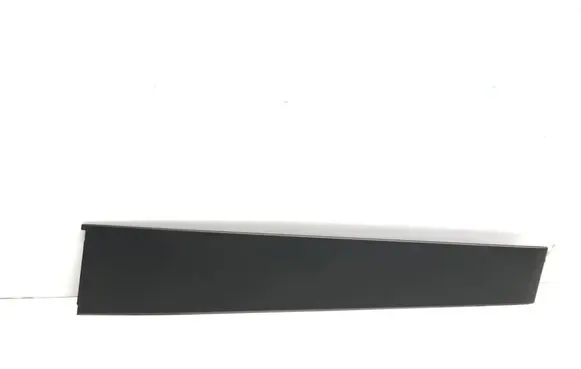 Dodge RAM Front door trim (molding) 68292928AD