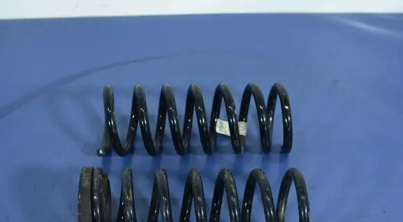 Ford Fusion Rear coil spring