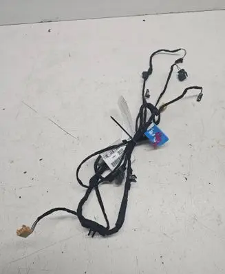 Front door wiring loom