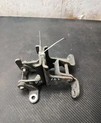 Opel Insignia A Front door hinge set ES03A046574