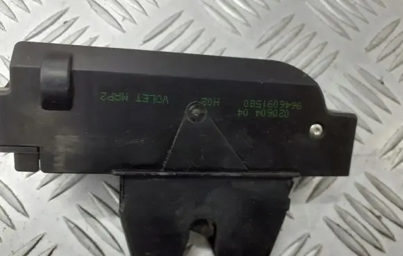 Citroen C3 Tailgate exterior lock 9646091580