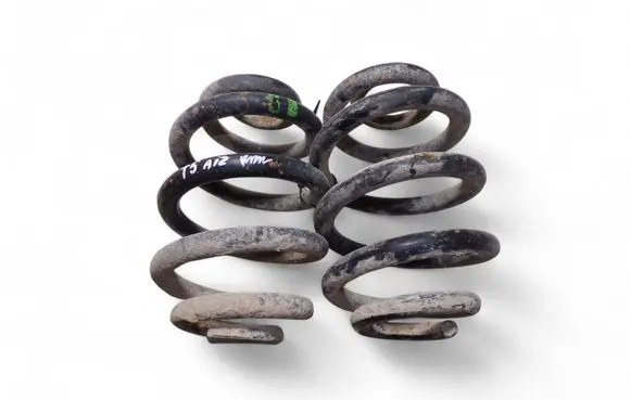 Rear coil spring