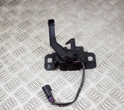 Opel Insignia A Engine bonnet/hood lock/latch loop/hook 22788572