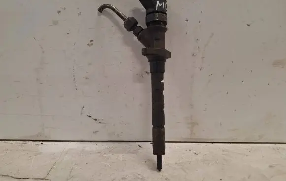 Peugeot 807 Fuel injector