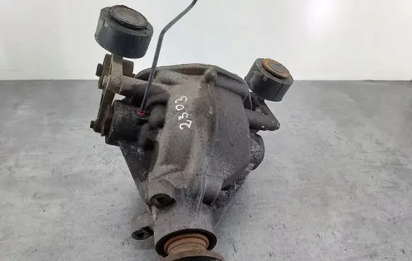 Land Rover Freelander Rear differential 17400247098