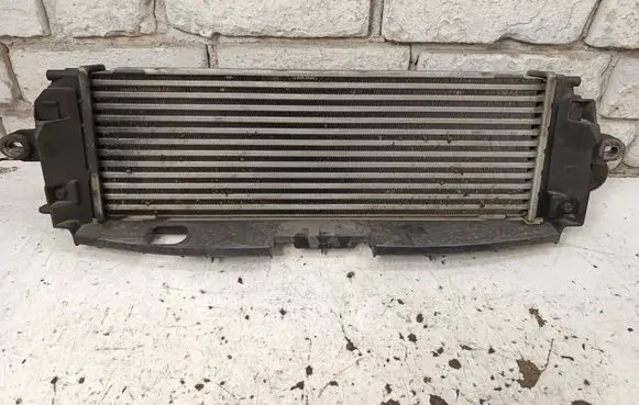 Opel Vivaro Intercooler radiator 8200411160C