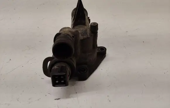 Renault Megane II Thermostat 8200248531