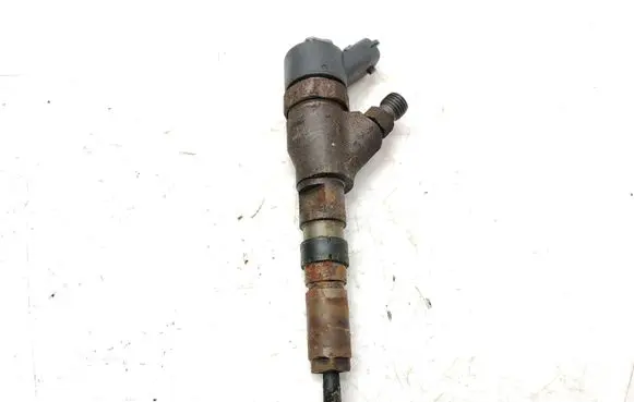 Citroen Xsara Picasso Fuel injector 0445110076 9641742880