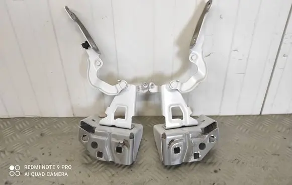 Renault Trafic III (X82) Engine bonnet/hood hinges 654010249R 93451643 654004002R
