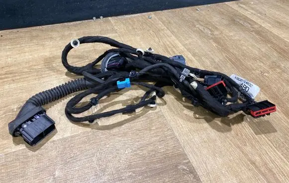 Rear door wiring loom