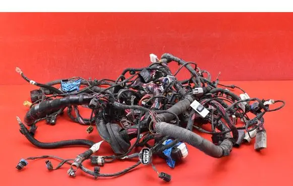 Other wiring loom