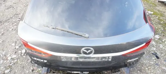 Tailgate/trunk/boot lid