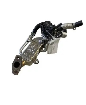 EGR valve