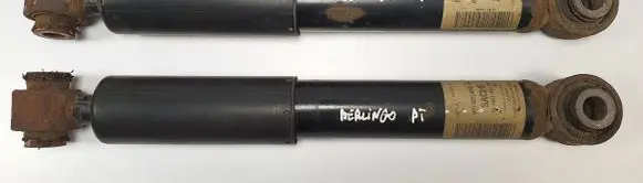 Citroen Berlingo Rear shock absorber/damper 9674213480