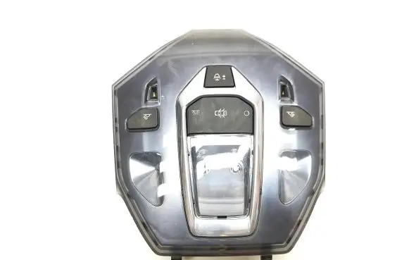Citroen DS5 Front seat light 96702429 N100300