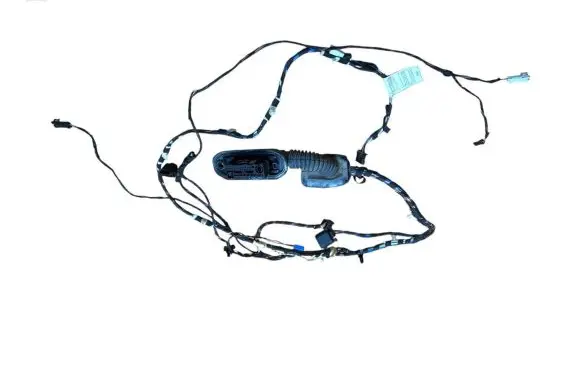 BMW X3 F25 Front door wiring loom 9243646 9252371 61139169241