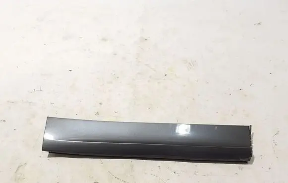 Porsche Cayenne (9Y0 9Y3) Rear door trim (molding) 9Y0839096C