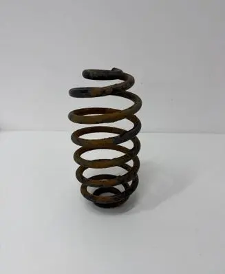 Rear coil spring