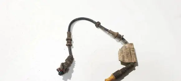 Opel Signum Other wiring loom 24418887