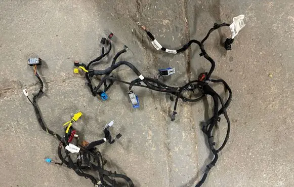 Other wiring loom