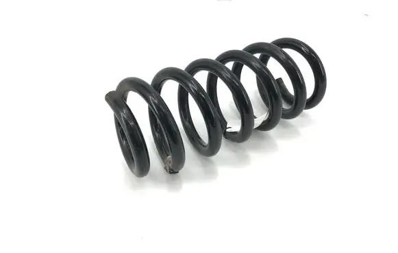 Ford Edge II Rear coil spring 