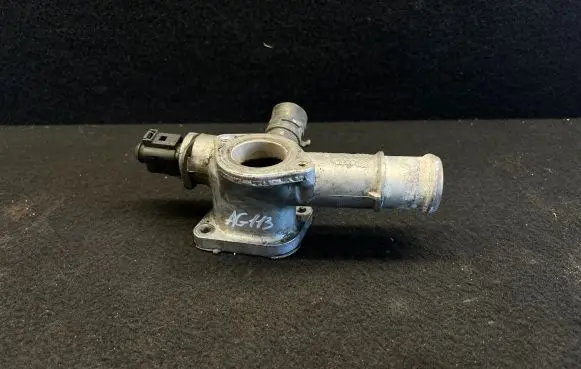 Thermostat/thermostat housing