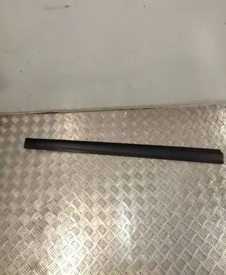 Hyundai Santa Fe Front door trim (molding)