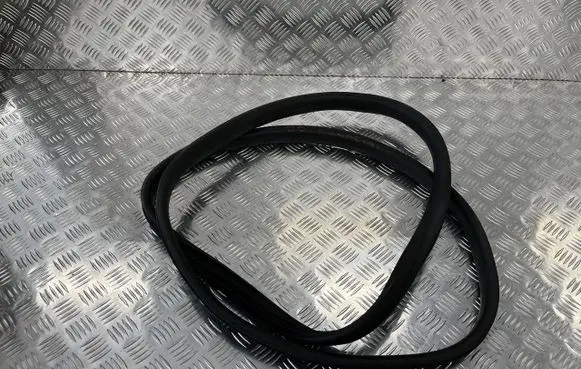Dacia Sandero III Front door rubber seal PU12962
